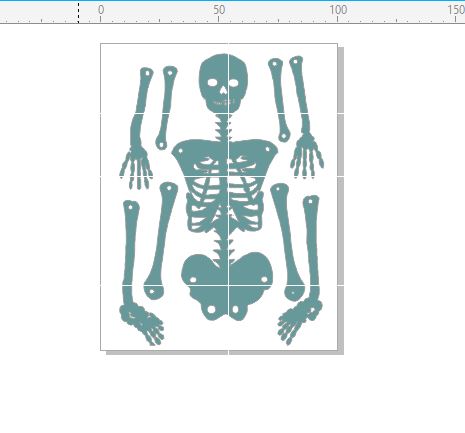 Human Skeleton movable parts  100 x 130mm, requires brads to put